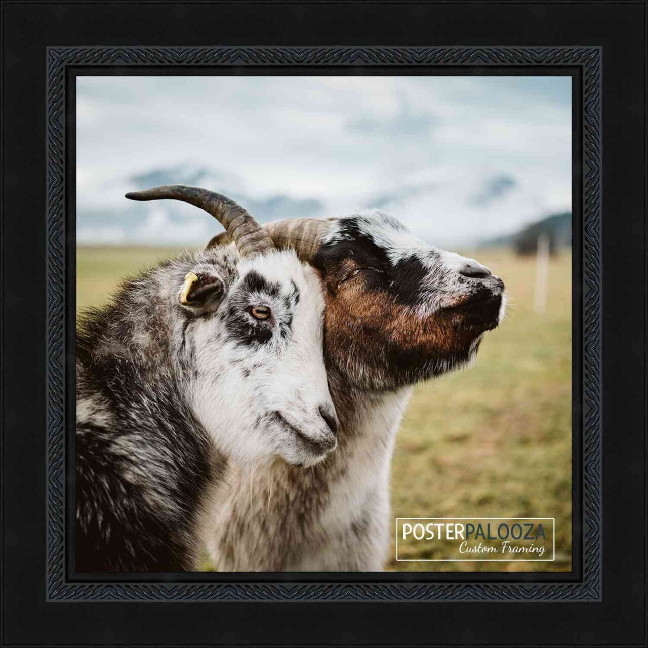 19x19 Traditional Picture Frame with UV-Resistant Acrylic & Acid Free Backing, Available in 3 Finishes - Black, Brown, Gold